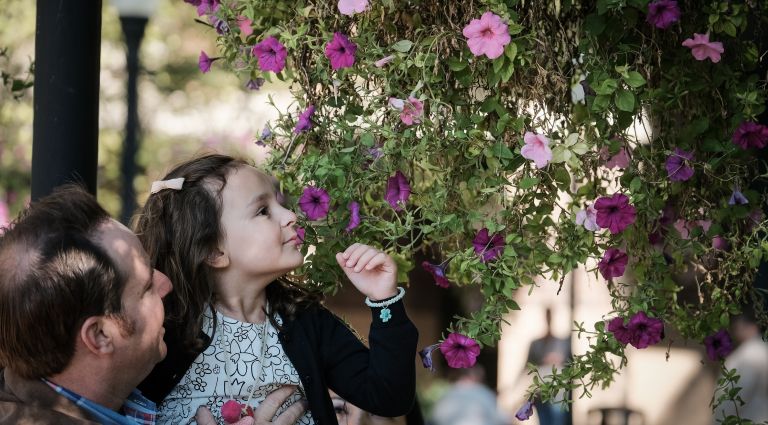 Beautification & Maintenance